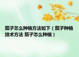 茄子怎么种植方法如下（茄子种植技术方法 茄子怎么种植）
