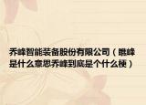 乔峰智能装备股份有限公司（瞧峰是什么意思乔峰到底是个什么梗）