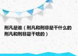 刑凡是谁（刑凡和刑非是干什么的 刑凡和刑非是干啥的）