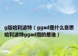 g版哈利波特（ggad是什么意思哈利波特ggad指的是谁）