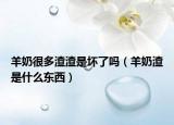 羊奶很多渣渣是坏了吗（羊奶渣是什么东西）