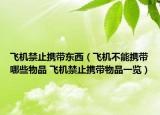 飞机禁止携带东西（飞机不能携带哪些物品 飞机禁止携带物品一览）