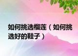 如何挑选榴莲（如何挑选好的鞋子）