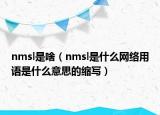 nmsl是啥（nmsl是什么网络用语是什么意思的缩写）