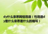 dy什么意思网络用语（性用语dy是什么意思是什么的缩写）