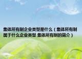 集体所有制企业类型是什么（集体所有制属于什么企业类型 集体所有制的简介）