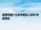 敲里吗是什么意思是骂人的吗 附表情包