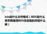 bds是什么文件格式（BDS是什么意思网络词BDS你是我的荣耀什么梗）