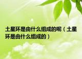 土星环是由什么组成的呢（土星环是由什么组成的）