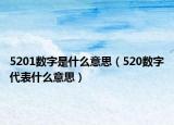 5201数字是什么意思（520数字代表什么意思）
