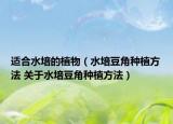 适合水培的植物（水培豆角种植方法 关于水培豆角种植方法）