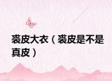 裘皮大衣（裘皮是不是真皮）