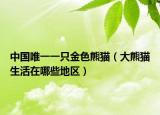 中国唯一一只金色熊猫（大熊猫生活在哪些地区）