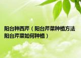 阳台种西芹（阳台芹菜种植方法 阳台芹菜如何种植）