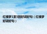红楼梦1至5回好词好句（红楼梦好词好句）