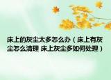 床上的灰尘太多怎么办（床上有灰尘怎么清理 床上灰尘多如何处理）