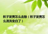 杯子发黄怎么去除（杯子发黄怎么清洗变白了）