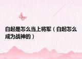 白起是怎么当上将军（白起怎么成为战神的）