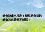 鱿鱼游戏电视剧（新鲜鱿鱼挑选 鱿鱼怎么看新不新鲜）