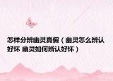 怎样分辨幽灵真假（幽灵怎么辨认好坏 幽灵如何辨认好坏）