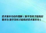 武术基本功动作图解（新手怎样才能练好基本功 新手怎样才能练好武术基本功）