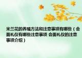 米兰花的养殖方法和注意事项有哪些（会面礼仪有哪些注意事项 会面礼仪的注意事项介绍）