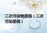 二次污染物是指（二次污染是指）