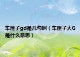 车厘子gd是几勾啊（车厘子大G是什么意思）