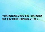 小龙虾怎么清洗又快又干净（龙虾怎样清洗才干净 龙虾怎么清洗简单又干净）