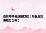 遇到海啸会避险教案（开船遇到海啸怎么办）