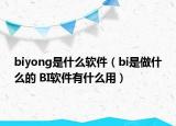 biyong是什么软件（bi是做什么的 BI软件有什么用）
