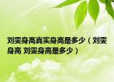 刘雯身高真实身高是多少（刘雯身高 刘雯身高是多少）