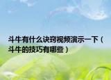 斗牛有什么诀窍视频演示一下（斗牛的技巧有哪些）