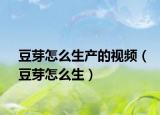 豆芽怎么生产的视频（豆芽怎么生）