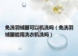 免洗羽绒服可以机洗吗（免洗羽绒服能用洗衣机洗吗）