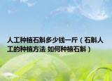 人工种植石斛多少钱一斤（石斛人工的种植方法 如何种植石斛）