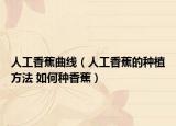 人工香蕉曲线（人工香蕉的种植方法 如何种香蕉）