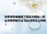 洋葱学院电脑版下载官方网站（阳台洋葱种植方法 阳台洋葱怎么种植）
