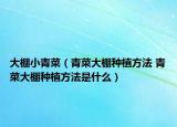 大棚小青菜（青菜大棚种植方法 青菜大棚种植方法是什么）