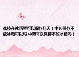 荔枝在冰箱里可以保存几天（中药保存不放冰箱可以吗 中药可以保存不放冰箱吗）