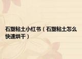 石塑粘土小红书（石塑粘土怎么快速烘干）