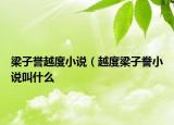 梁子誉越度小说（越度梁子誊小说叫什么