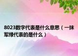 8023数字代表是什么意思（一抹军绿代表的是什么）