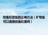 给鱼缸放盐的正确方法（矿物盐可以直接放鱼缸里吗）