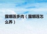 露娜莲多肉（露娜莲怎么养）