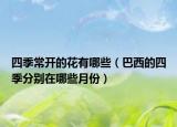 四季常开的花有哪些（巴西的四季分别在哪些月份）