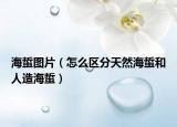 海蜇图片（怎么区分天然海蜇和人造海蜇）