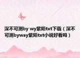 深不可测by wy紫陌txt下载（深不可测byway紫陌txt小说好看吗）