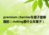 premium cherries车厘子是哪国的（rioking是什么车厘子）