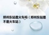 郑州东站是火车吗（郑州东站是不是火车站）